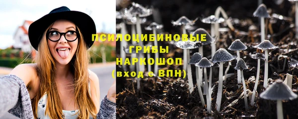 прущие грибы Белоозёрский