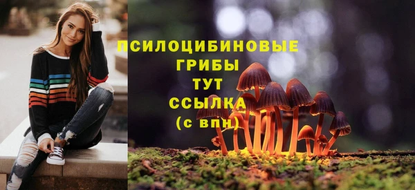 экстази Гусиноозёрск